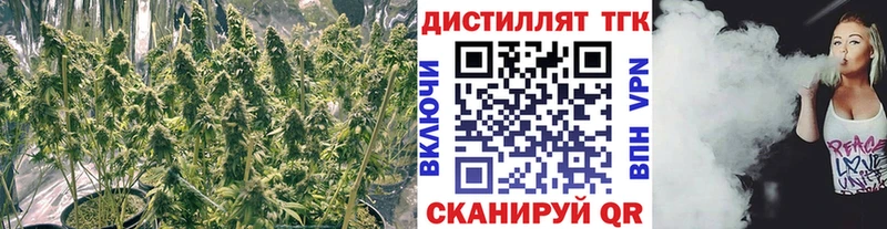 магазин продажи   Холм  Дистиллят ТГК THC oil 