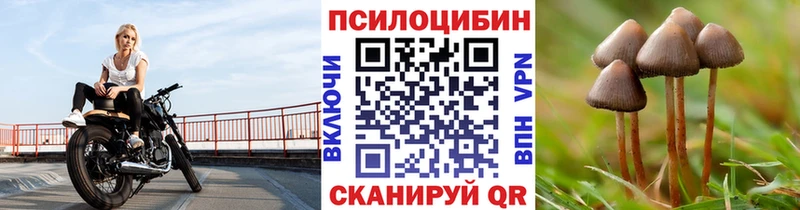купить   Холм  Галлюциногенные грибы мицелий 
